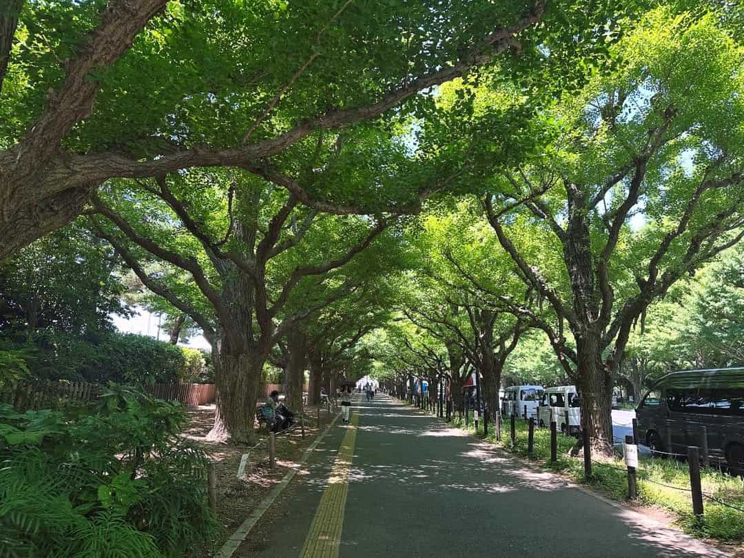 麻生要一郎、運動継続の秘訣を語る　「2人の存在があったから続けられた」と感謝をつづる