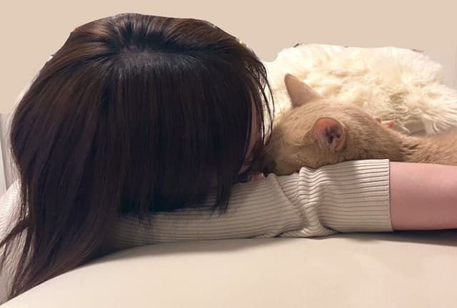 「腰の入った猫パンチされました笑」清水あいりと愛猫のほっこりエピソードが愛おしすぎる！