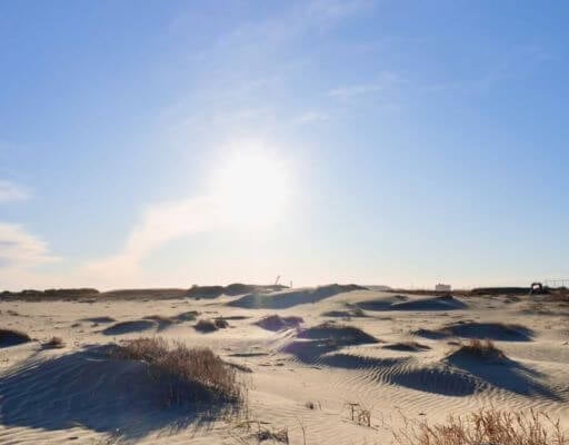 京本大我、異国の島に迷い込んだような一枚を公開「人工的に感じるほど、砂の模様がインパクト」