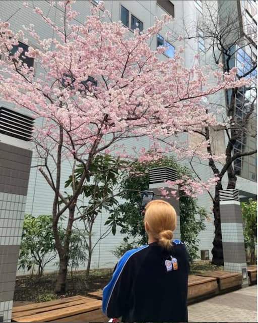 「癒されるわぁ〜」丸山桂里奈がふと見つけた満開の桜を投稿