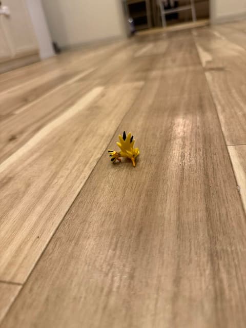 「子供たちに告ぐ」俳優・和田正人が投稿した”床に落ちてるポケモン”の写真が話題に