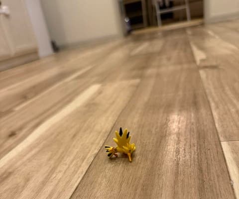 「子供たちに告ぐ」俳優・和田正人が投稿した”床に落ちてるポケモン”の写真が話題に