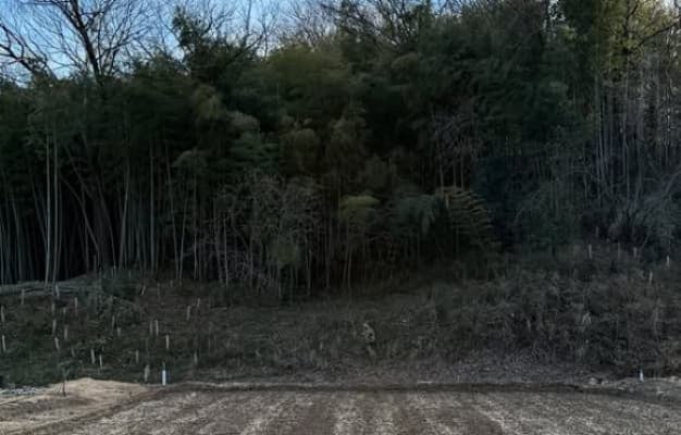 一見するとただの風景、でも心で感じると・・長瀬智也 とある1枚の写真を披露！