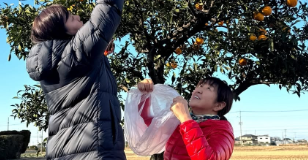 「香りが最高！」北斗晶、実家で柚子を収穫！年越し準備に笑顔