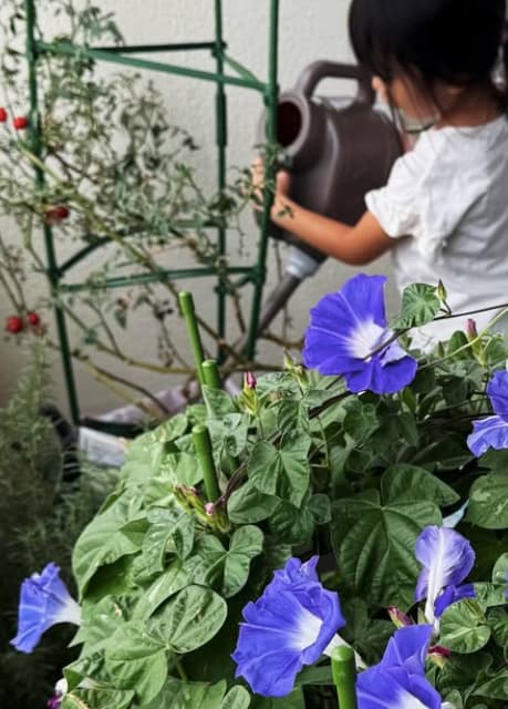 テレビ東京・繁田美貴アナ、娘のトマト嫌いを解決するために始めた取り組みで見事克服！？