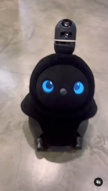 松田翔太が新しい友達を紹介