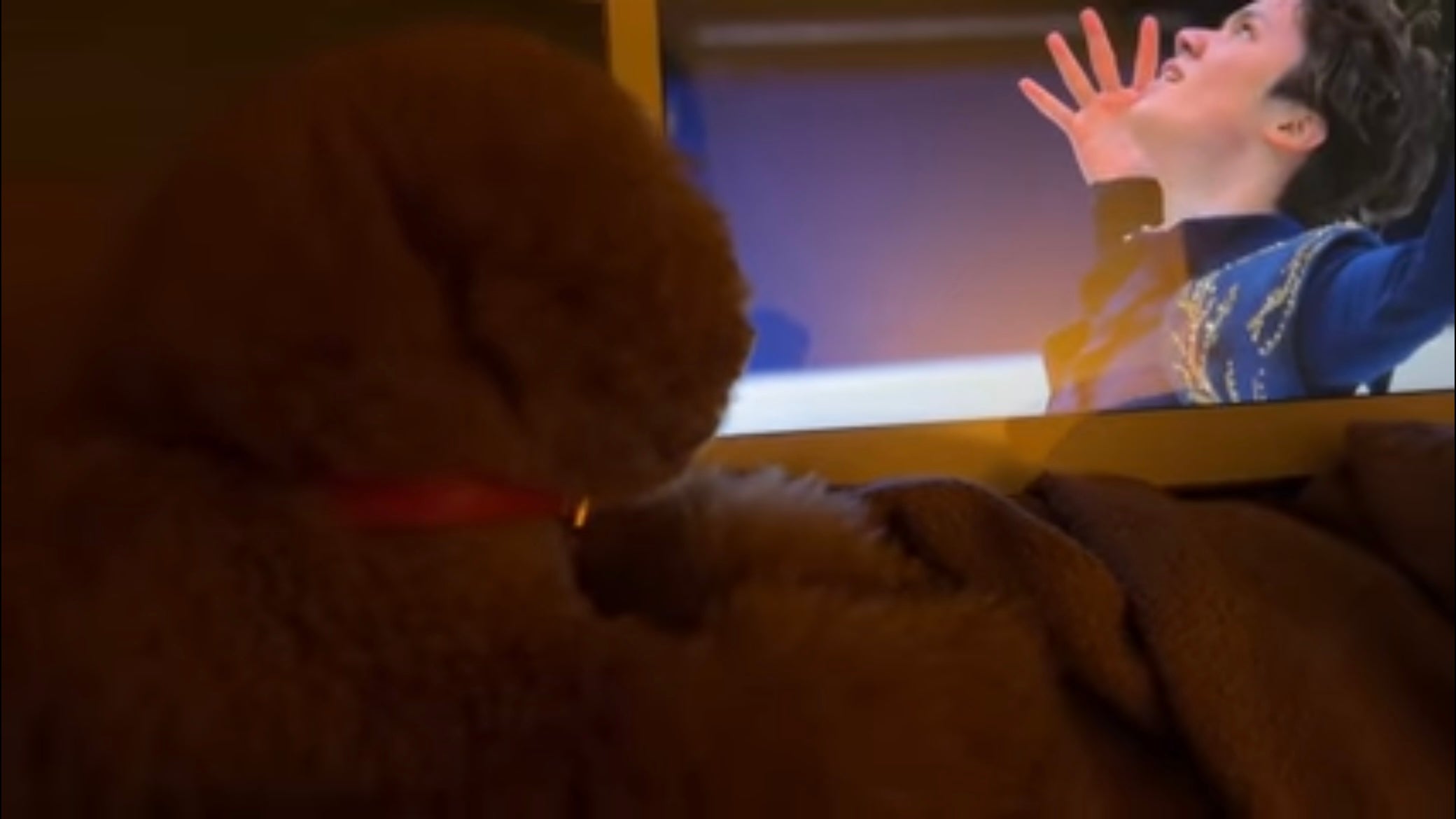 「お母様の姿に涙腺崩壊😭😭」世界王者誕生に宇野家の様子は❓⛸ 弟・樹さんが公開 ✨📺