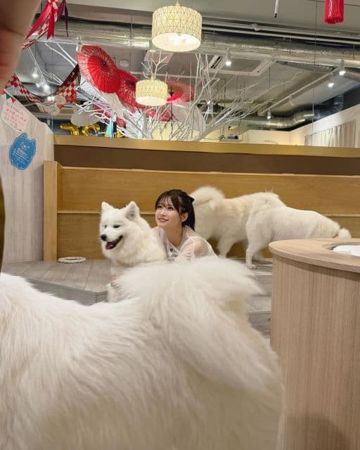 「かわいいが詰まってるわこれ」生見愛瑠、CanCam対談企画でもふもふの犬と戯れるショットを公開！