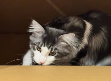 宮世琉弥、段ボールから覗かせた〇〇のショットにファンメロメロに