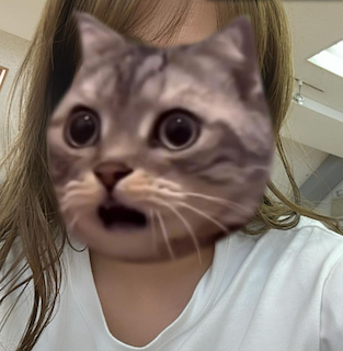 「もはやどーいう事？」藤本美貴の衝撃写真にファン驚愕「せっかくの自撮りが…」