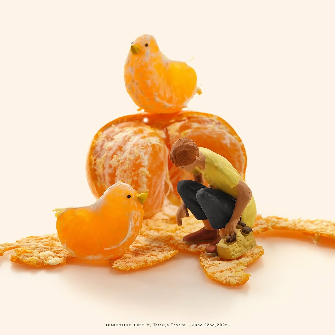 「みかんのままでいいんじゃない！」田中達也の新作ミニチュアが話題に　“メルヘンな風景が好き”と反響続出