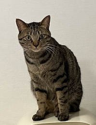 ”大の動物好き”佐久間大介　「これが二面生ってやつか」可愛い写真をアップ📸