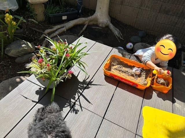 「特別なことするわけでもなく…」丸山桂里奈、仕事と育児共通で楽しいと思うところを明かす！