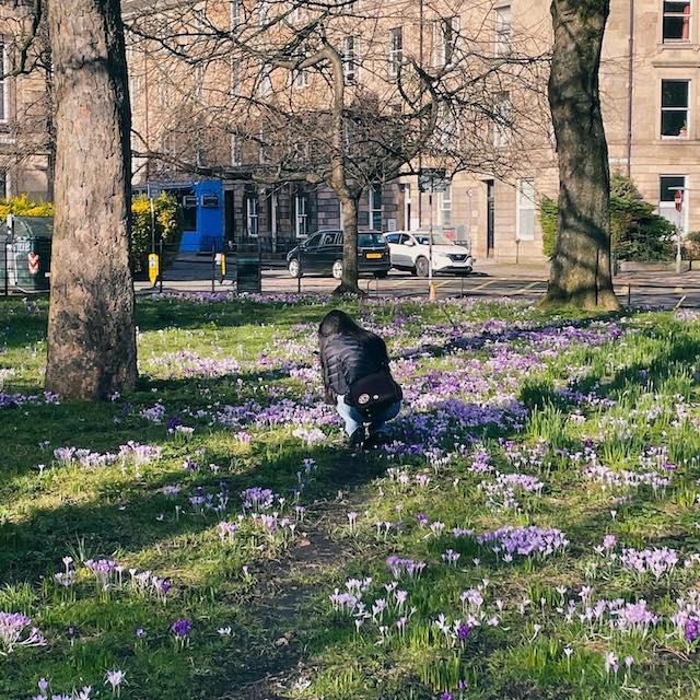 キムタク次女・Kōkiがオフショット披露💕「お花が咲き始めていてとても綺麗でした💗」
