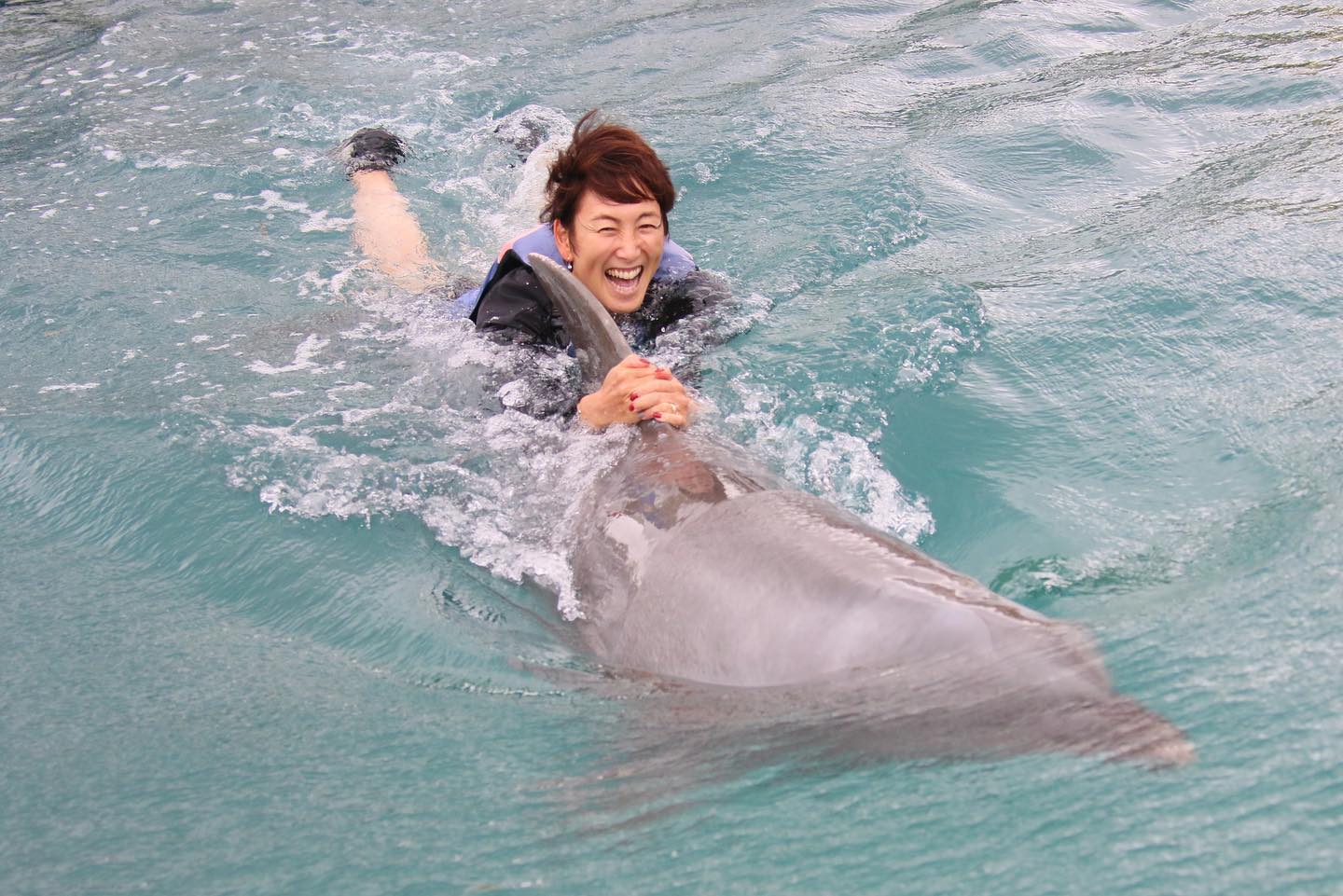 杉山愛がイルカと一体❗️❓「念願のドルフィンスイム🐬」