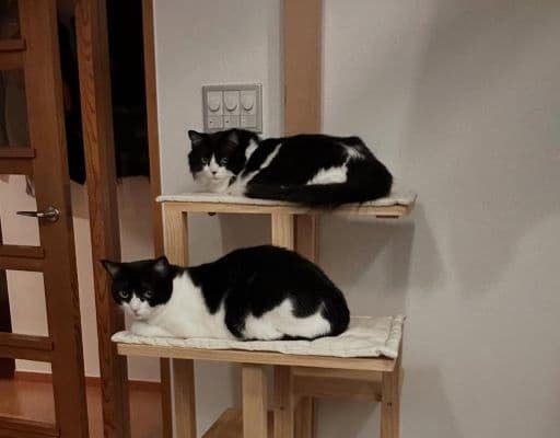 「2人ともチラ見」ミキ・亜生、なんとも微笑ましい〇〇との3ショットにファンが癒される！