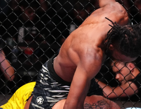 UFCベテラン健在！ニール・マグニーが衝撃のTKO勝利で完全復活！