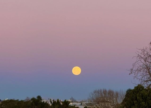 シンガーソングライターの絢香が淡い空に輝く満月を捉えた一枚。「すごいパワーだった」