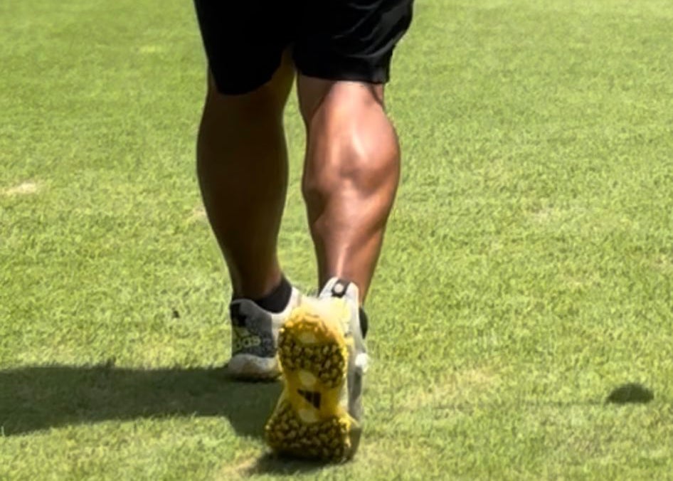 元小結・松鳳山裕也、ふくらはぎが“ターキーレッグ化”!？ティーショット写真が話題に