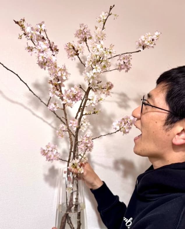 「さくらも暖房感じるんだ…！」アンタッチャブル柴田、室内で一足早く満開になった桜にほっこり