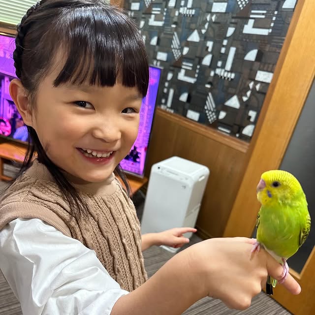 ののちゃん、お手手に乗った◯◯◯に