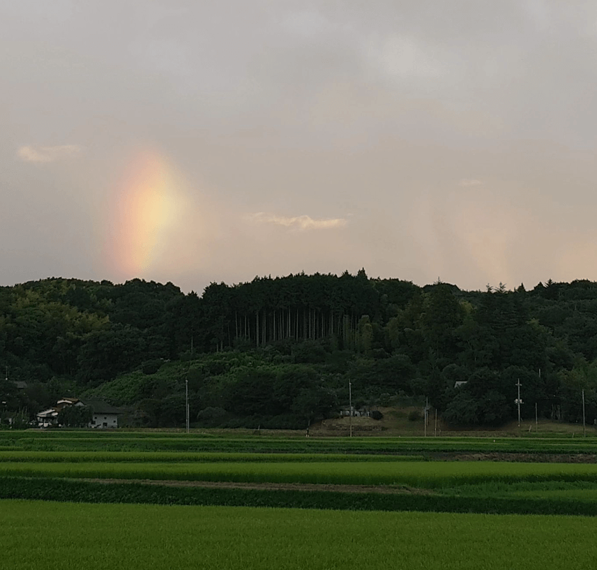 鈴木おさむ、「更に虹ー」でフォロワーを魅了！彩雲に幸運の兆し？