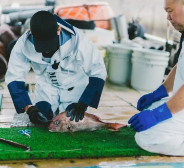 中田英寿、今治の漁師軍団・蛭子丸を訪問「美味しい魚への情熱を聞く」