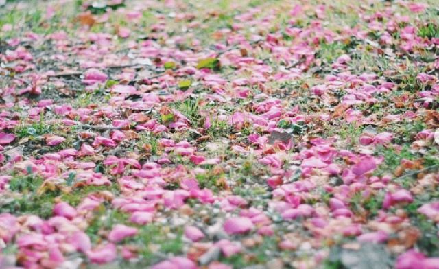 不思議な世界観でファンを魅了する！伊原六花が4月スタートの新ドラマ『パラレル夫婦 -死んだ僕と妻の真実-』の主演を務める