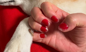 「運動会は赤組応援ネイル！」高橋みゆき、愛犬クラ吉とのほっこりショットにファン笑顔