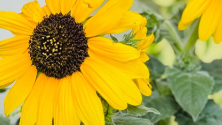 尾木ママに届いた父の日のプレゼントが話題！「元気出る」「ビタミンカラーに癒される」と絶賛の声