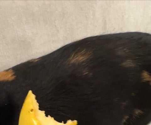 「夜11時以降の食事は〇〇だけにします！！」Snow Man・佐久間大介　食生活改善を宣言！夜食に選ばれたのは…