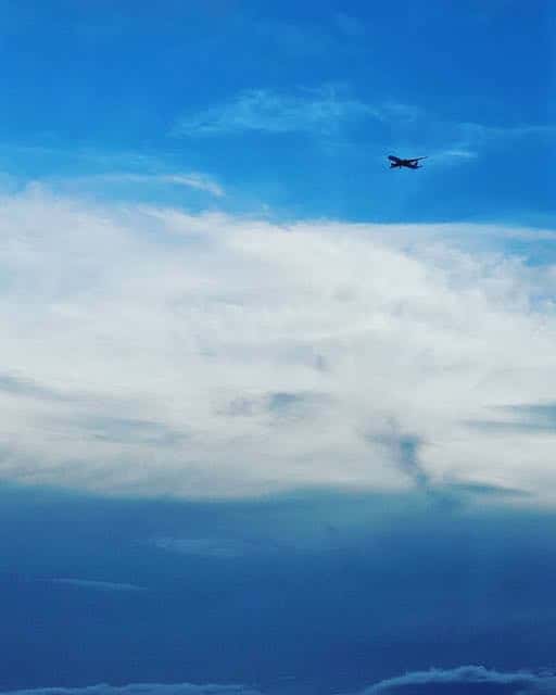 第一子出産の土屋太鳳が近況を報告👀「生活のリズムが難しく」