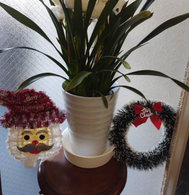 吉本GMの間寛平、クリスマスの願い事に「サンタさんに面白くなる薬をプレゼントして」とさらに笑いを追求！