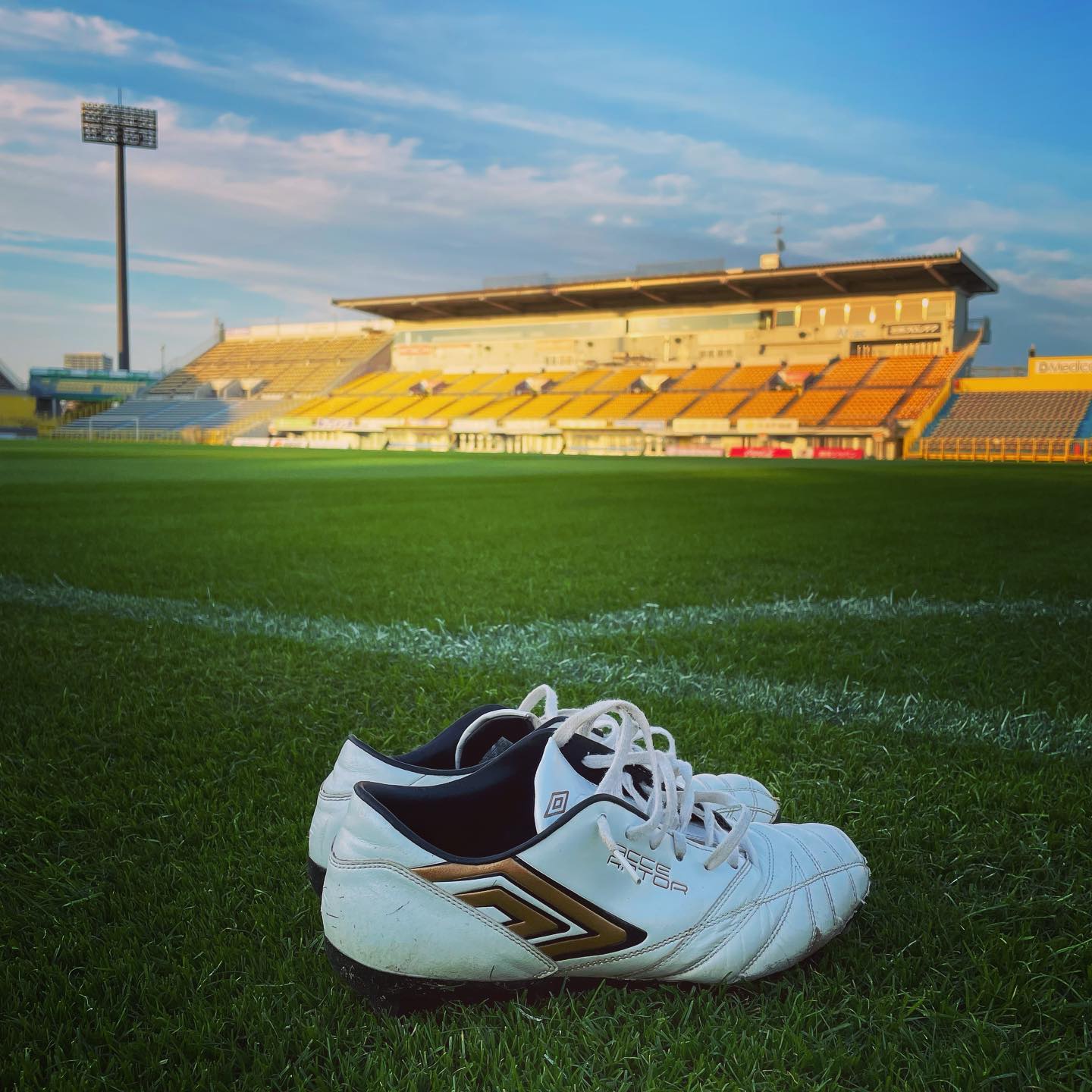 ミスターレイソル大谷秀和の引退に感謝の声💬「この日が来てしまって悲しい😭」「レイソルの7番は永久に不滅です。」