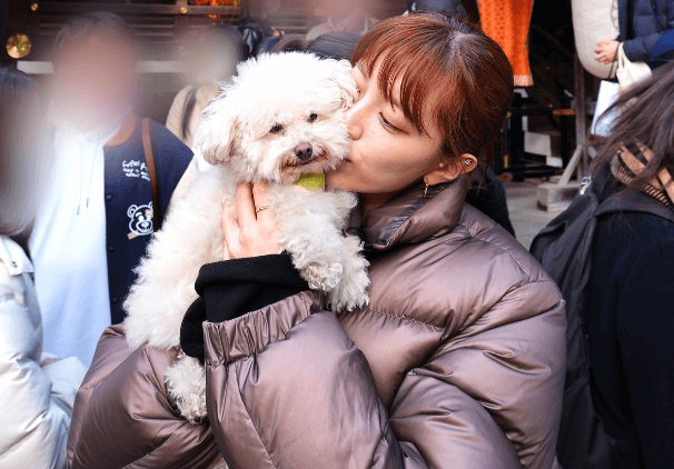 「正直に言おう。妬ける…」あの美女アナウンサー、”ワンコドヤ顔の熱烈キスショット”を披露しファン悶絶！