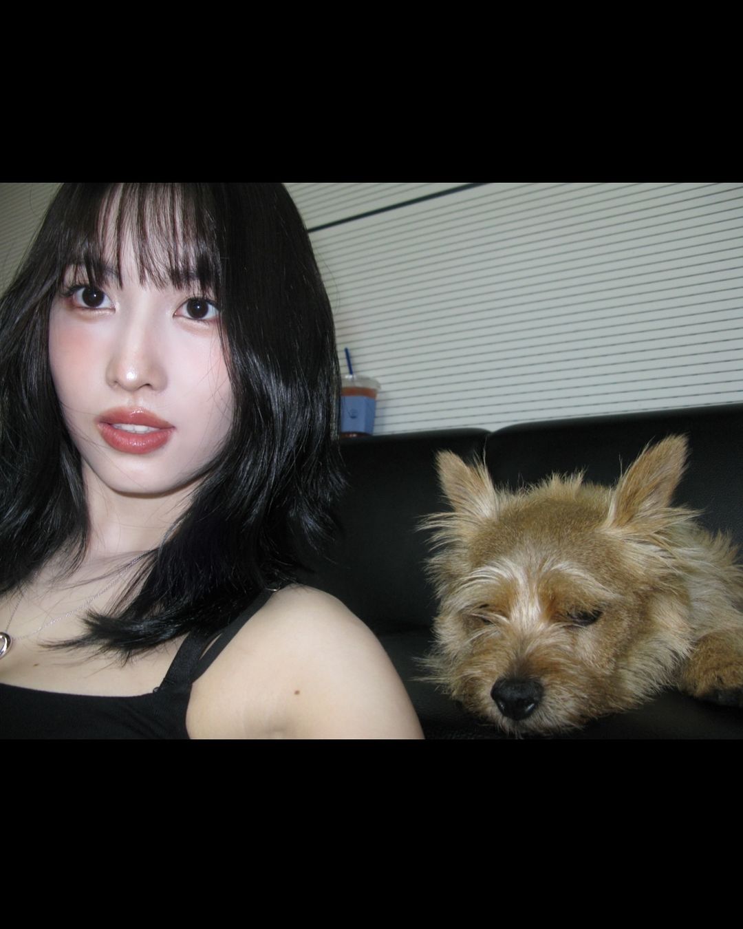 「羨ましい」TWICE MOMO、愛犬との密着ショットにファン「ドビーが羨ましい」