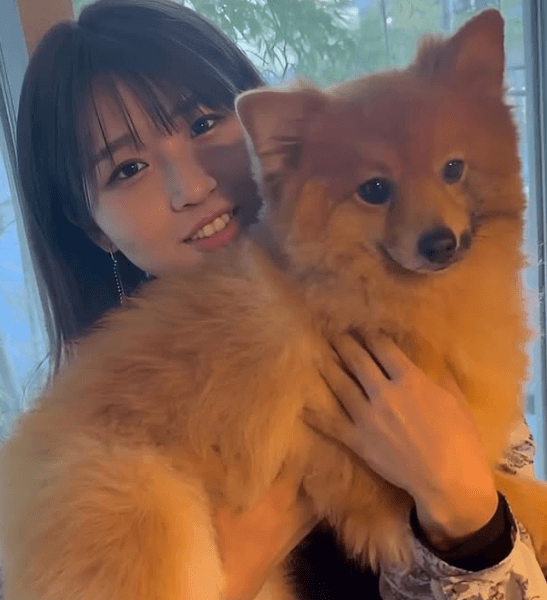 「6.5キロのデカポメラニアンですよ」話題の野球シンガー、”ビッグワンコ・2ショット”にファン衝撃「名前の由来、わかったぞ！」