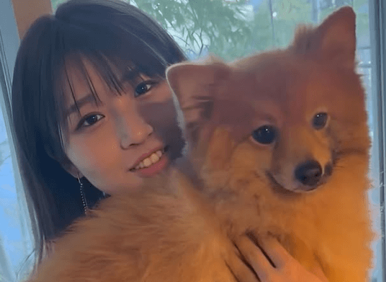 「6.5キロのデカポメラニアンですよ」話題の野球シンガー、”ビッグワンコ・2ショット”にファン衝撃「名前の由来、わかったぞ！」