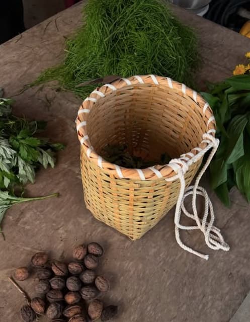 ローラが新潟県で山菜採りの様子を投稿