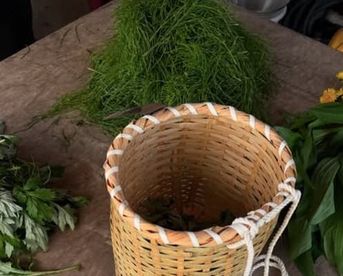 ローラが新潟県で山菜採りの様子を投稿