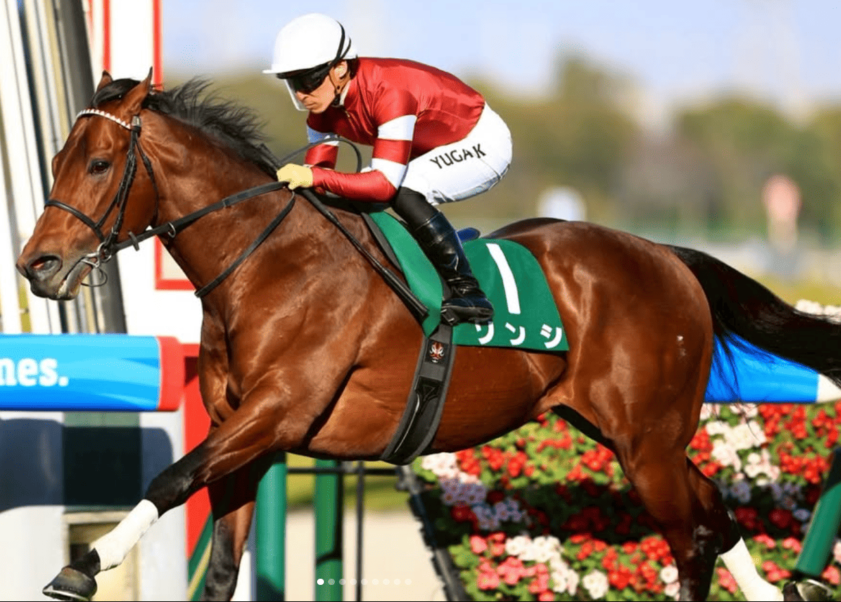 【画像】かきつばた記念　ダノンフィーゴが3馬身差圧勝で重賞初制覇