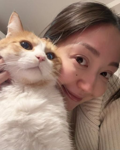 松島花、気まぐれ愛猫・ごろりんの激レア