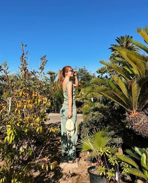 Dream Ami 珍事件！ミモザ探しの旅から帰宅したら、、、