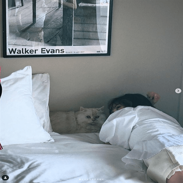 与田祐希、bis秋号の表紙を飾り愛猫・大福とのエンジェルショットを公開