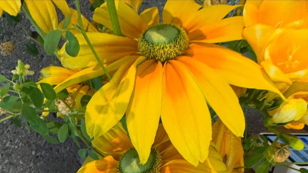 荒井理咲子、花は語る、夏のはじまりを！？