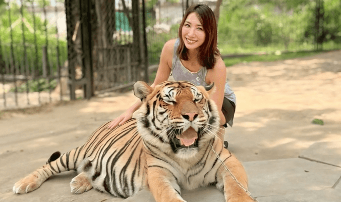 「凄くいい写真で可愛い」寿司店の女将兼任ゴルフ美女のバンコク旅行記！”虎＆ゾウ”とのお戯れシーン＆動画にファン驚愕