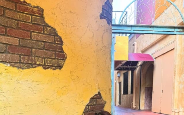 「可愛いかったー」脇元華があの人気キャラクターとの2ショットを披露