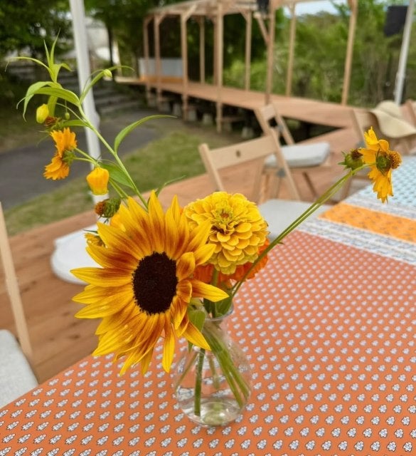夏木マリの午後に広がる、向日葵とマリーゴールドが奏でる癒しと彩りのサマーシンフォニー