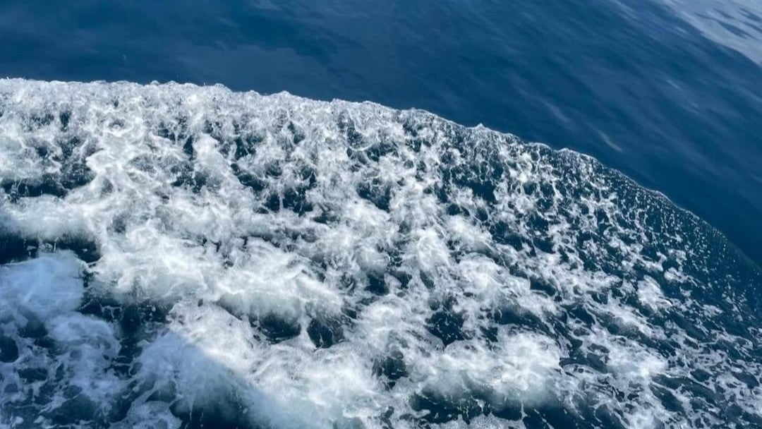 土屋太鳳、“終戦80年”に寄せた平和への願いと小さな家族への想い