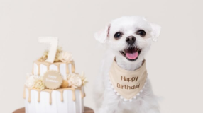 「可愛すぎる相棒！」鈴木ゆうか、愛犬との“犬活”ショットを公開